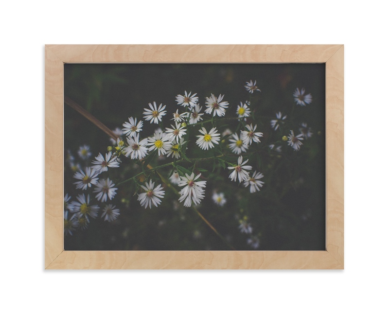 Lazy Daisy Photography Art Print By Katie Short