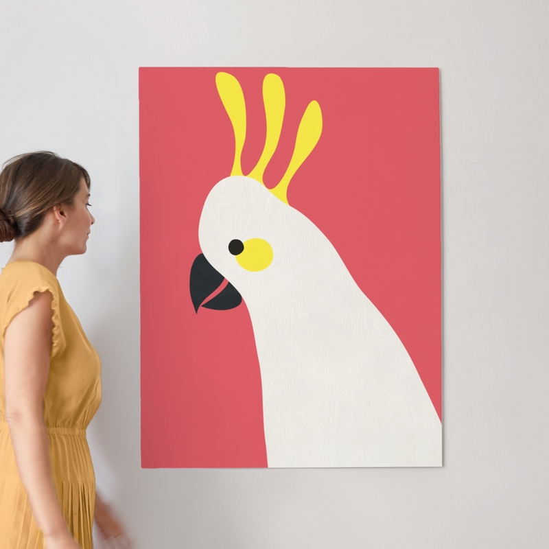 Hello Cocky! Wall Art Prints by Catherine Culvenor Minted