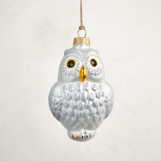 This is a silver christmas ornaments by Minted called silver owl glass ornament by glass by iness in standard