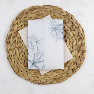 This is a blue vellum wedding invitations by Clove and Cedar Design called blue beach starfish vellum jackets | size 5x7 | set of 25 in standard
