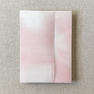 This is a pink vellum wedding invitations by Cotton and Bow called blush pink vellum jacket for wedding invitations | a7 | set of 10 in standard