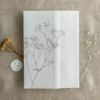 This is a gray vellum wedding invitation by Ivory Invitations called Minimalist baby's breath flower oyster color printed vellum wrap for 5x7 card  | pack of 10 in standard.