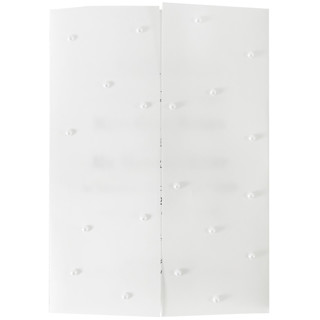 This is a clear vellum wedding invitations by Self Stationery called pre folded vellum jacket 5x7 with pearls, set of 10 in standard