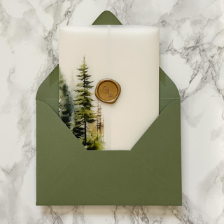 This is a clear vellum wedding invitations by Carley Zuercher called forest vellum jacket (10 pack) in standard