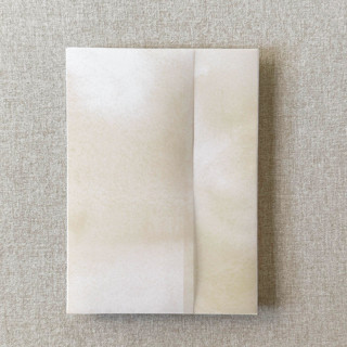 This is a beige vellum wedding invitations by Cotton and Bow called neutral watercolor vellum jacket for wedding invitations | a7 | set of 10 in standard