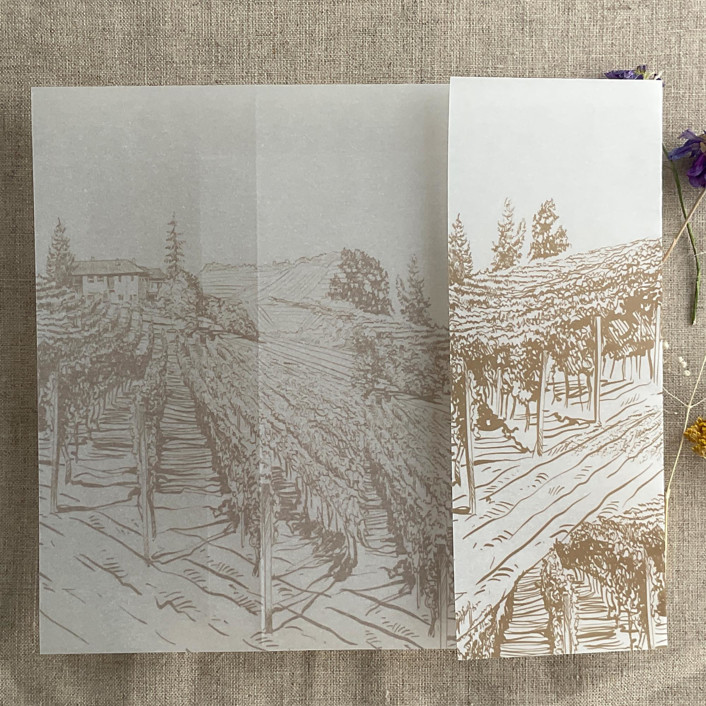 CUSTOM ORDER : Hazelnut vineyard landscape sketch printed vellum wrap for 6x8 card | pack of 40