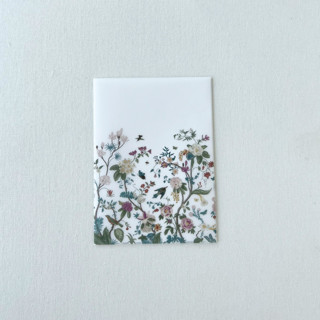 This is a multicolorassorted-colors vellum wedding invitations by Eva Friesen called vellum botanical illustration of wildflowers  vellum wrap | set of 10 in standard