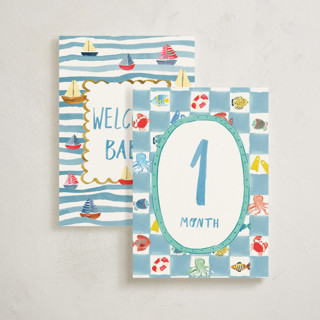 This is a multi baby milestone cards by Pati Cascino called buckle up! in standard