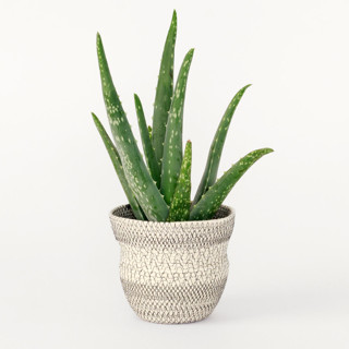 This is a black accent pieces by Moriah Okun called black and white scribble rope plant holder in standard