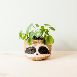 This is a brown accent pieces by LIKHA called sloth head (3-tone/dark) planter in standard
