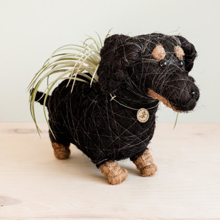 This is a black accent pieces by LIKHA called dachshund planter in standard