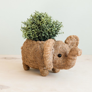 This is a brown accent pieces by LIKHA called elephant planter in standard