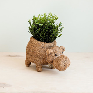 This is a brown accent pieces by LIKHA called hippo planter in standard