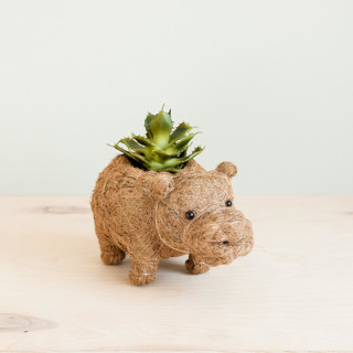 This is a brown accent pieces by LIKHA called baby hippo planter in standard