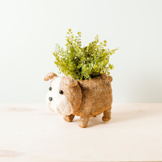 This is a brown accent pieces by LIKHA called english bulldog planter in standard