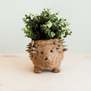 This is a brown accent pieces by LIKHA called hedgehog planter in standard