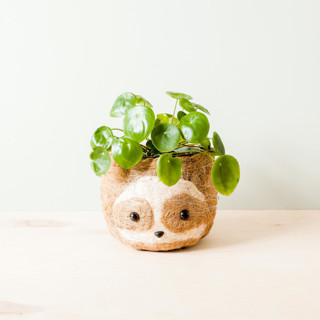 This is a brown accent pieces by LIKHA called sloth head (2-tone/light) planter in standard