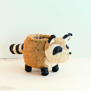 This is a brown accent pieces by LIKHA called raccoon planter in standard