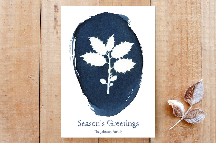 Holly Season