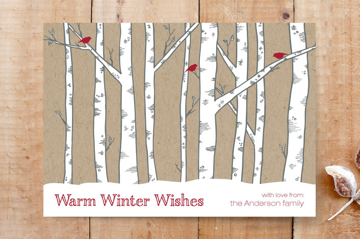Warm Winter Woods