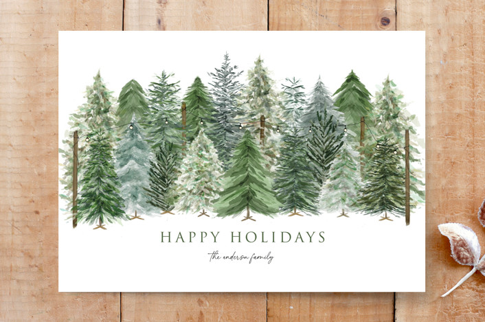 Holiday Tree Lot