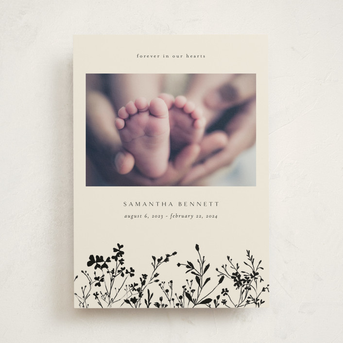 botanical base by Stephanie Hawkes