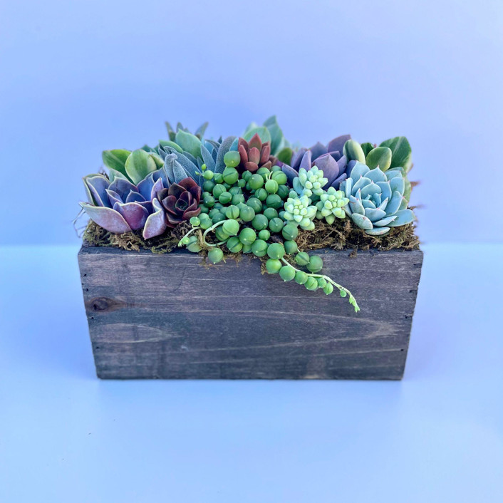 purple ceramic flower pot Ceramic Planter succulent planter Garden decor Velvet Purple by  BlueRoomPottery