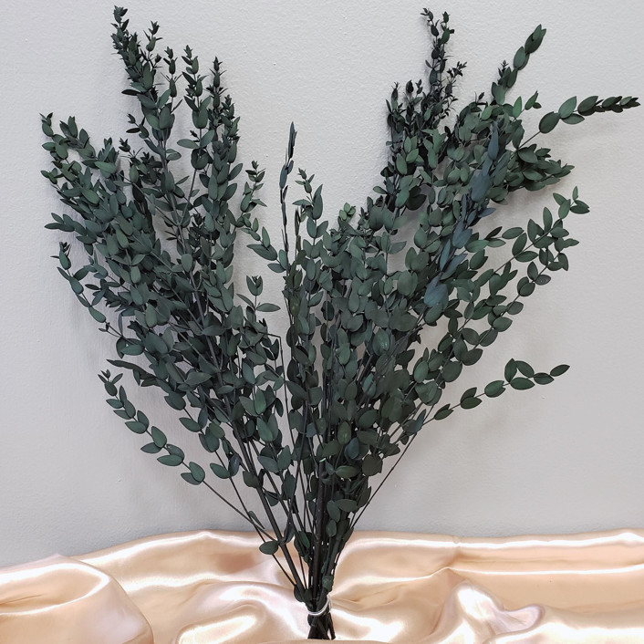 Preserved Eucalyptus, Small Teardrop Leaf | Dark Green