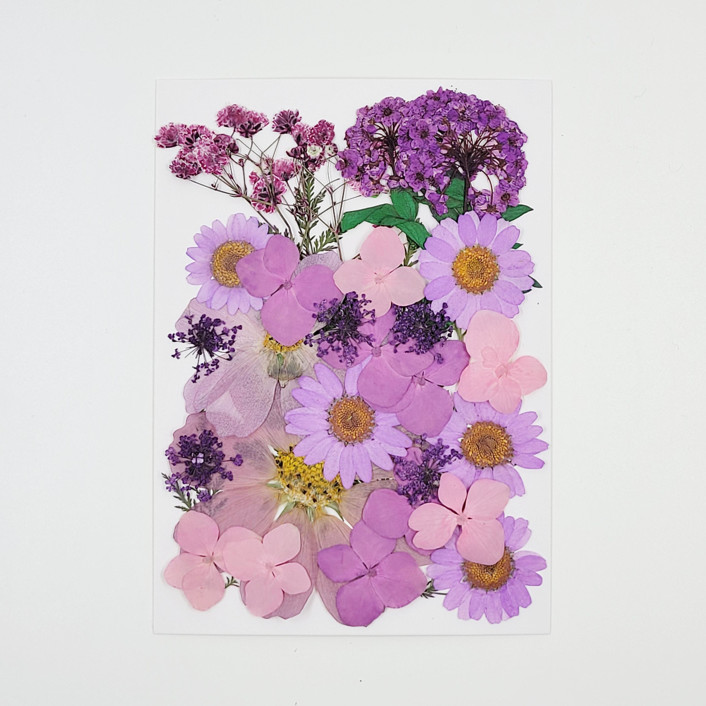 Pressed Flowers | " Delightfully Purple" |Purple Collection | 33 pcs