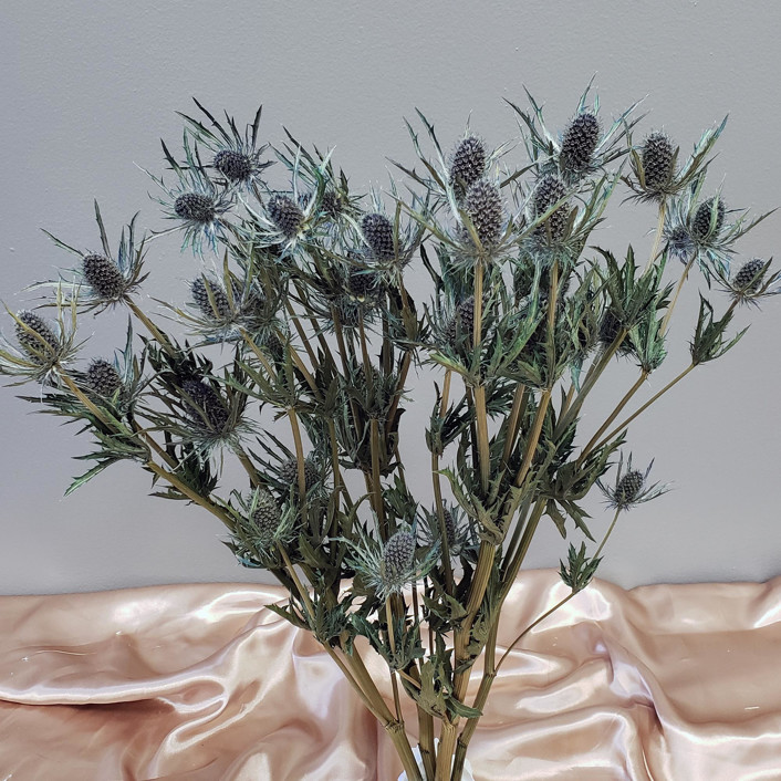 Preserved Thistle Flowers | 5stems (30-40 blooms) | Dusty Blue