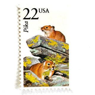 This is a gold stamps by Heritage Post House called pika postage stamps | north american wildlife series | wedding stamps | vintage unused usps postage 22c | pack of 20 in standard