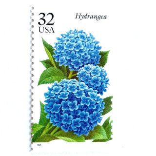 This is a blue stamps by Heritage Post House called hydrangea postage stamps | fall garden flowers | garden flowers series | vintage unused usps postage 32c | pack of 10 in standard