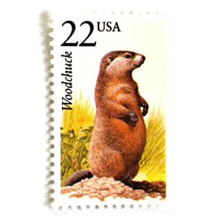 This is a brown stamps by Heritage Post House called woodchuck postage stamps | north american wildlife series | wedding stamps | vintage unused usps postage 22c | pack of 20 in standard