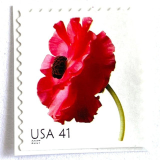 This is a red stamps by Heritage Post House called poppy postage stamps | beautiful blooms series | red flowers | botanical | wedding stamps | vintage unused usps postage 41c | pack of 10 in standard