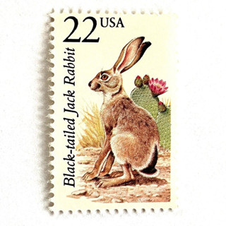 This is a beige stamps by Heritage Post House called black-tailed jack rabbit postage stamps | north american wildlife series | wedding stamps | vintage unused usps postage 22c | pack of 10 in standard