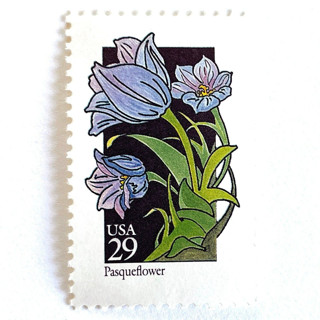 This is a purple stamps by Heritage Post House called pasqueflower postage stamps | american wildflower series | purple flower | botanical | vintage unused usps postage 29c | pack of 10 in standard