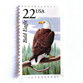 This is a brown stamps by Heritage Post House called bald eagle postage stamps | north american wildlife series | wedding stamps | vintage unused usps postage 22c | pack of 10 in standard