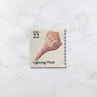 This is a beige stamps by The Silver Stamps called lightning whelk | vintage stamp, 22 cents, 1985 | 5 each in standard