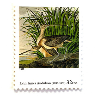 This is a green stamps by Jennifer Kramer called john james audubon's "long-billed curlew" postage stamps | four centuries of american art series | vintage unused usps postage 32c | pack of 10 in standard