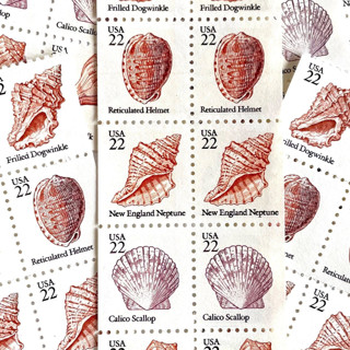 This is a pink stamps by Jennifer Kramer called seashells set of 5 postage stamps | vintage unused usps postage | 22c/stamp | $1.10/set of 5 | pack of 5 sets (25 stamps total) in standard