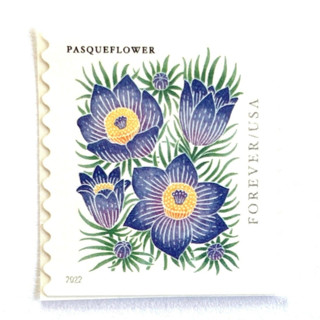 This is a purple stamps by Heritage Post House called pasqueflower postage stamps | mountain flora series | wedding stamps | vintage unused usps postage forever stamps | pack of 10 in standard