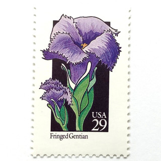 This is a purple stamps by Heritage Post House called fringed gentian postage stamps | american wildflower series | purple flower | botanical | vintage unused usps postage 29c | pack of 10 in standard