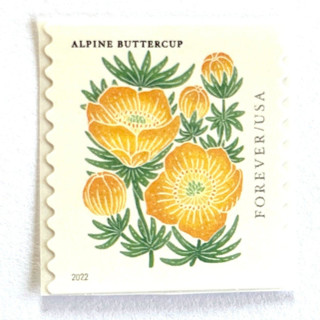 This is a yellow stamps by Heritage Post House called alpine buttercup postage stamps | mountain flora series | yellow flower | botanical | wedding stamps | vintage unused usps postage forever stamps | pack of 10 in standard