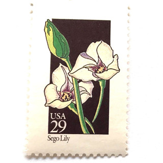 This is a white stamps by Heritage Post House called sego lily postage stamps | american wildflower series | white flower | botanical | vintage unused usps postage 29c | pack of 10 in standard