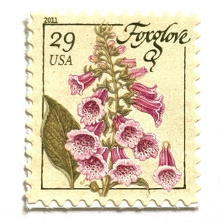 This is a pink stamps by Heritage Post House called foxglove flower postage stamps | herbs series | vintage unused usps postage 29c | pack of 10 in standard
