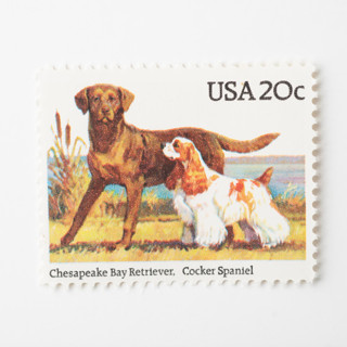 This is a beige stamps by Flourish Fine Writing called 20 cent chesapeake bay retriever & cocker spaniel postage stamps // set of 10 // unused in standard