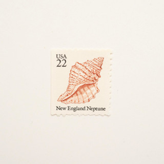 This is a beige stamps by Flourish Fine Writing called 22 cent new england neptune seashell postage stamps // set of 10 // unused in standard