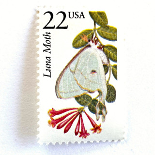This is a green stamps by Heritage Post House called luna moth postage stamps | north american wildlife series | insects | wedding stamps | vintage unused usps postage 22c | pack of 10 in standard