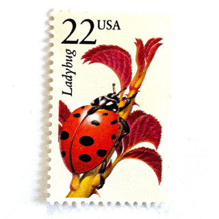 This is a red stamps by Heritage Post House called ladybug postage stamps | north american wildlife series | wedding stamps | vintage unused usps postage 22c | pack of 10 in standard