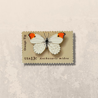 This is a beige stamps by The Silver Stamps called butterfly: orange-tip | vintage stamp, 13 cents, 1977 | 5 each in standard